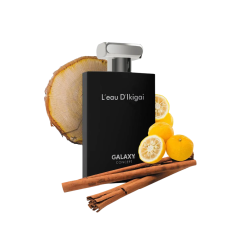 Perfume Plus Concept L Eau D Ikigai Eau De Parfum 100ml - Galaxy - 35860