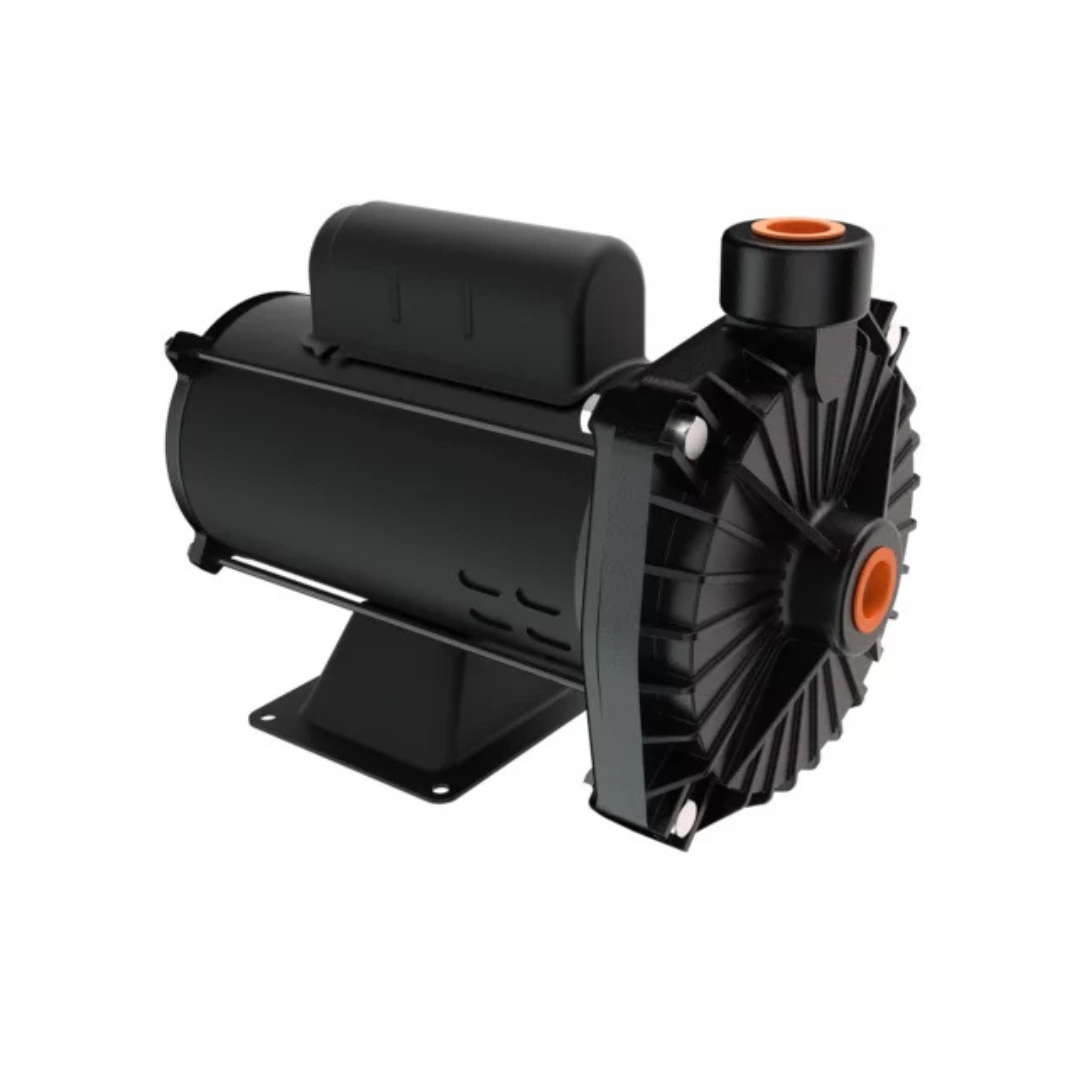 Bomba Centrifuga Cp-6r 1cv Monofásica 110/220v - Dancor - 10408364