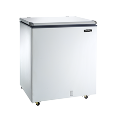 Conservador Horizontal Branco 220v Ech250 - Esmaltec - 0105001983