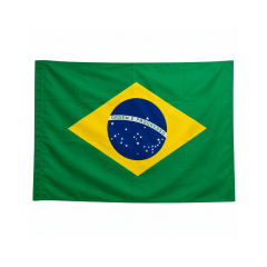 Bandeira Do Brasil 90x140cm 1239 - Tok House - 10849