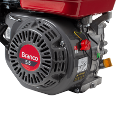 Motor A Gasolina B4t 5.5cv - Branco - 90313430