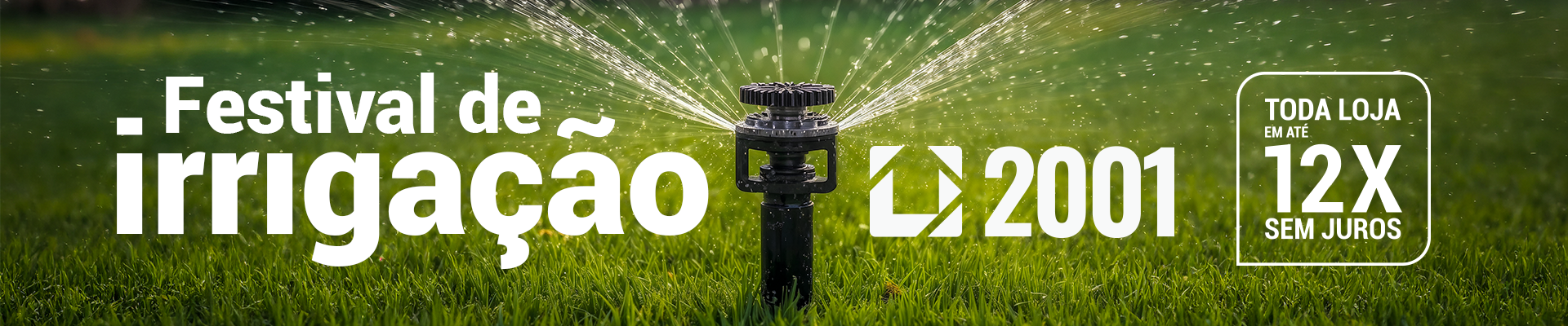 Festival De Irrigação 2026