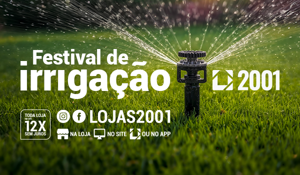 Festival De Irrigação 2026